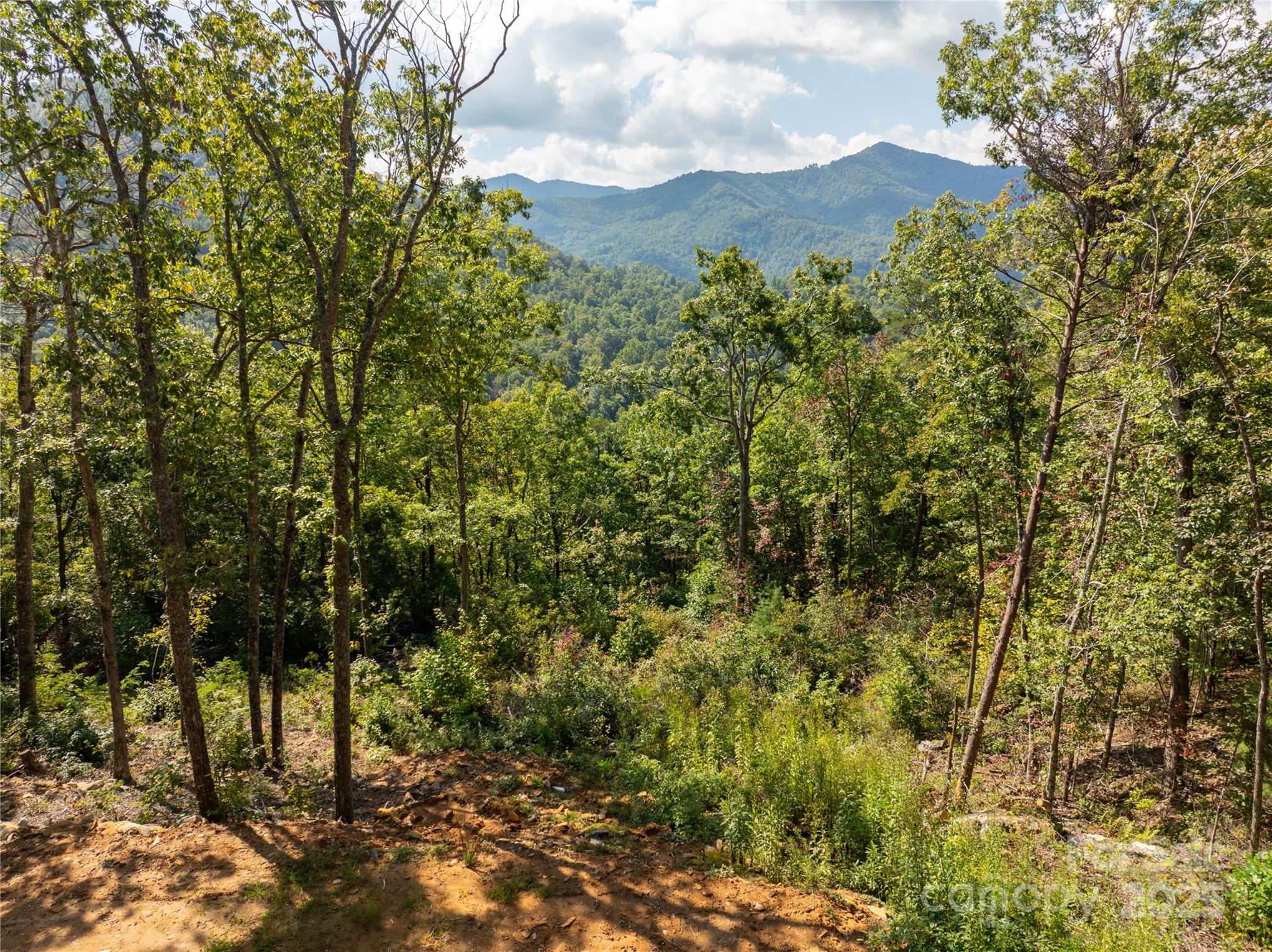8888 Cedar Creek Farm Road Tuckasegee NC 28783