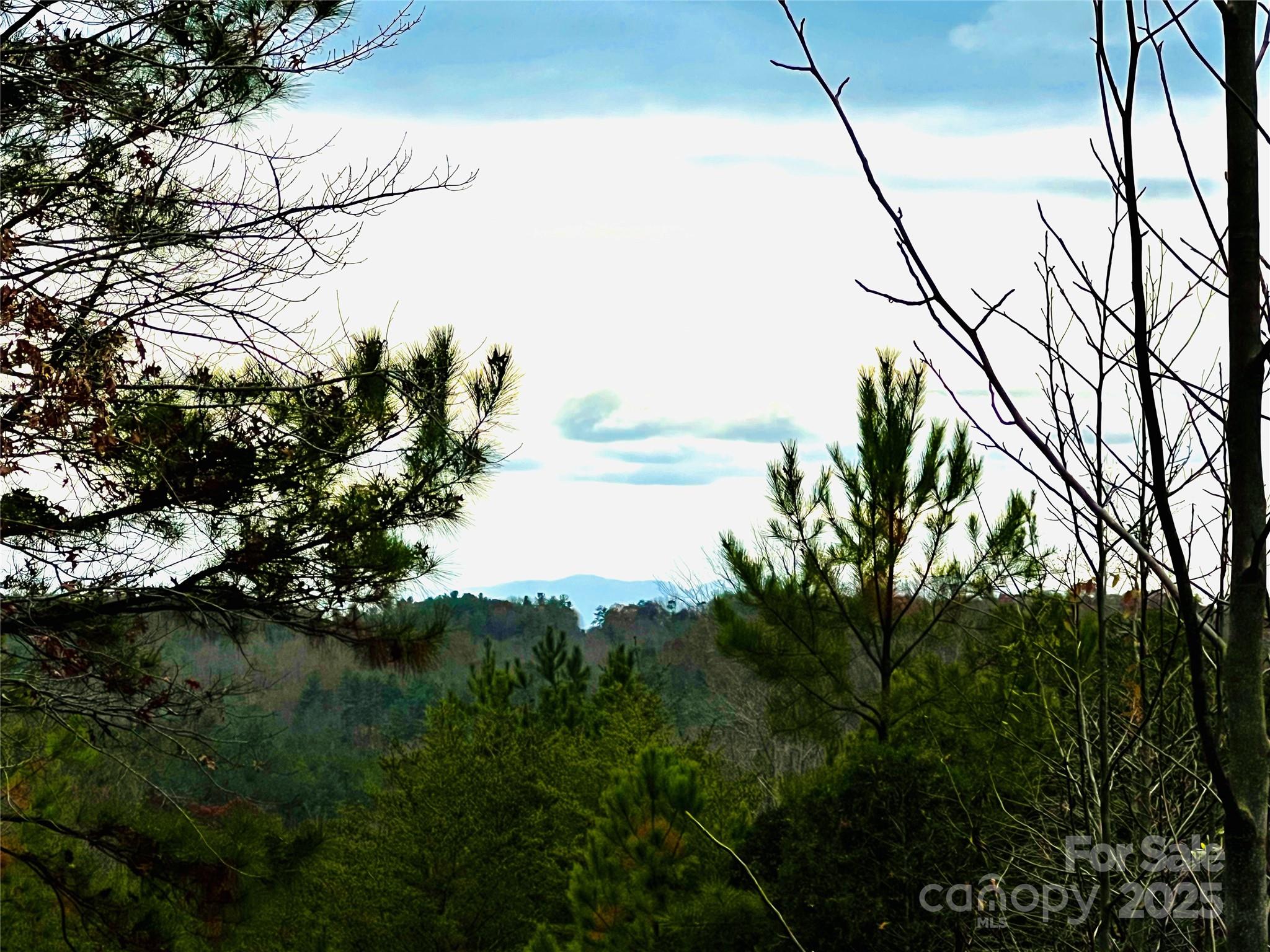 2.53 Acres, Lot 602 Low Valley Way Lenoir NC 28645