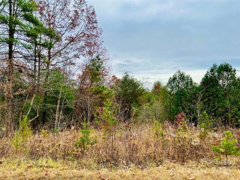 2.53 Acres, Lot 602 Low Valley Way Lenoir NC 28645