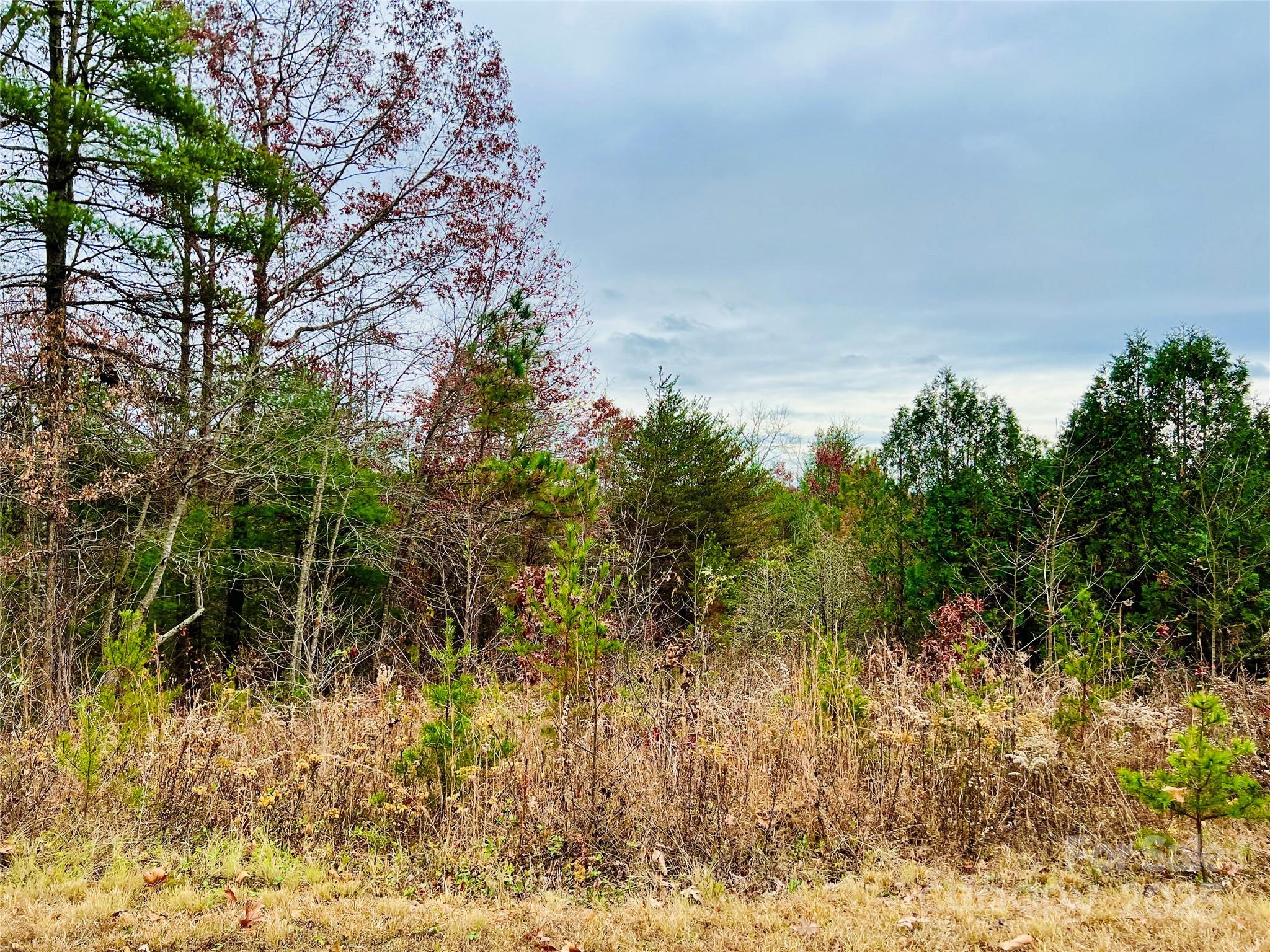 2.53 Acres, Lot 602 Low Valley Way Lenoir NC 28645