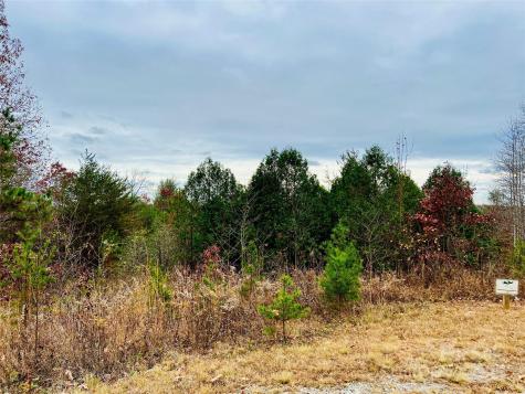 2.53 Acres, Lot 602 Low Valley Way Lenoir NC 28645