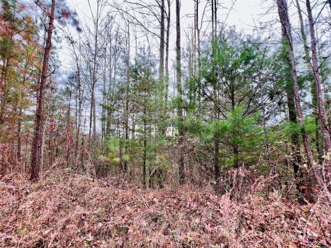 2.53 Acres, Lot 602 Low Valley Way Lenoir NC 28645