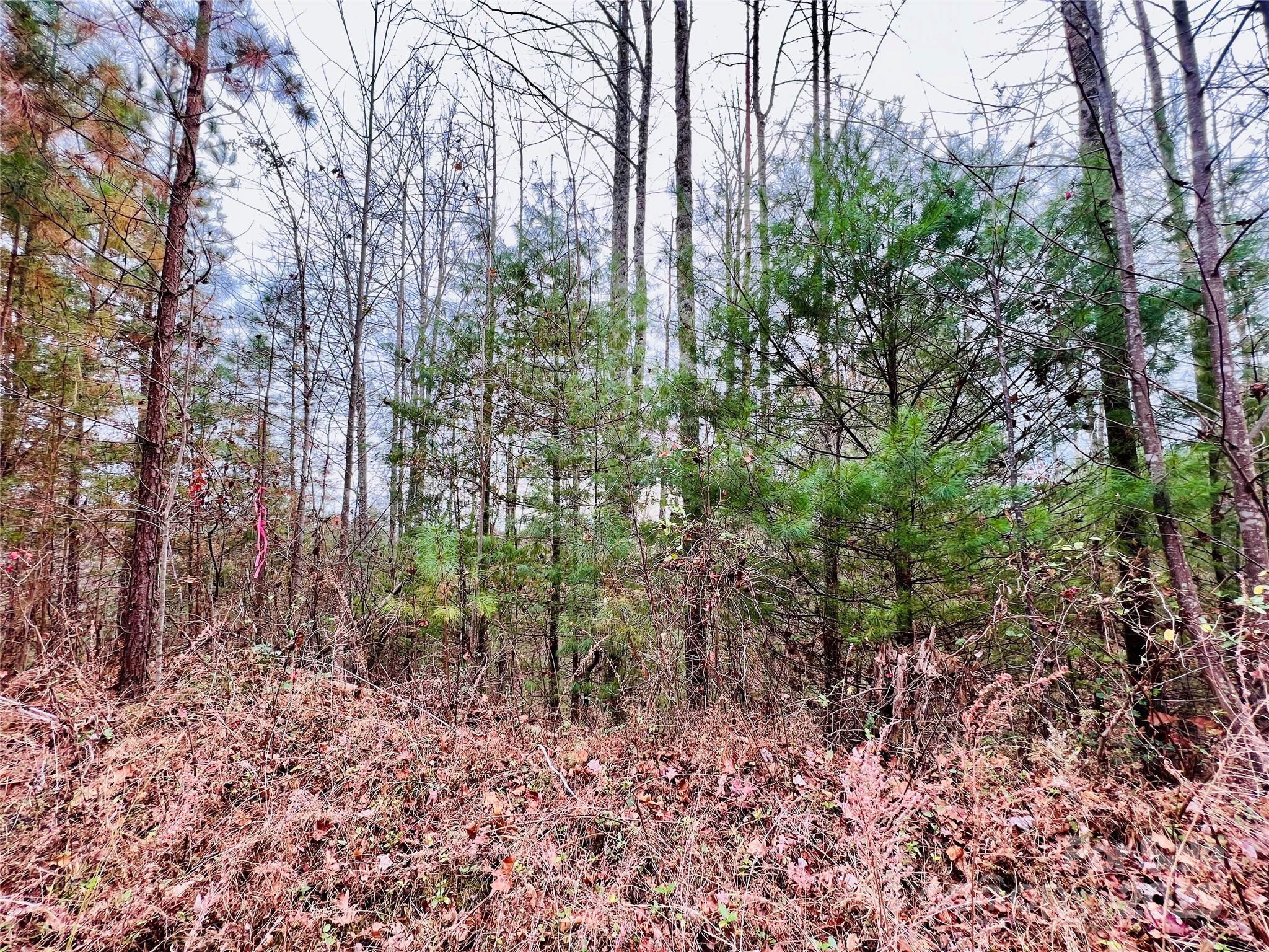 2.53 Acres, Lot 602 Low Valley Way Lenoir NC 28645
