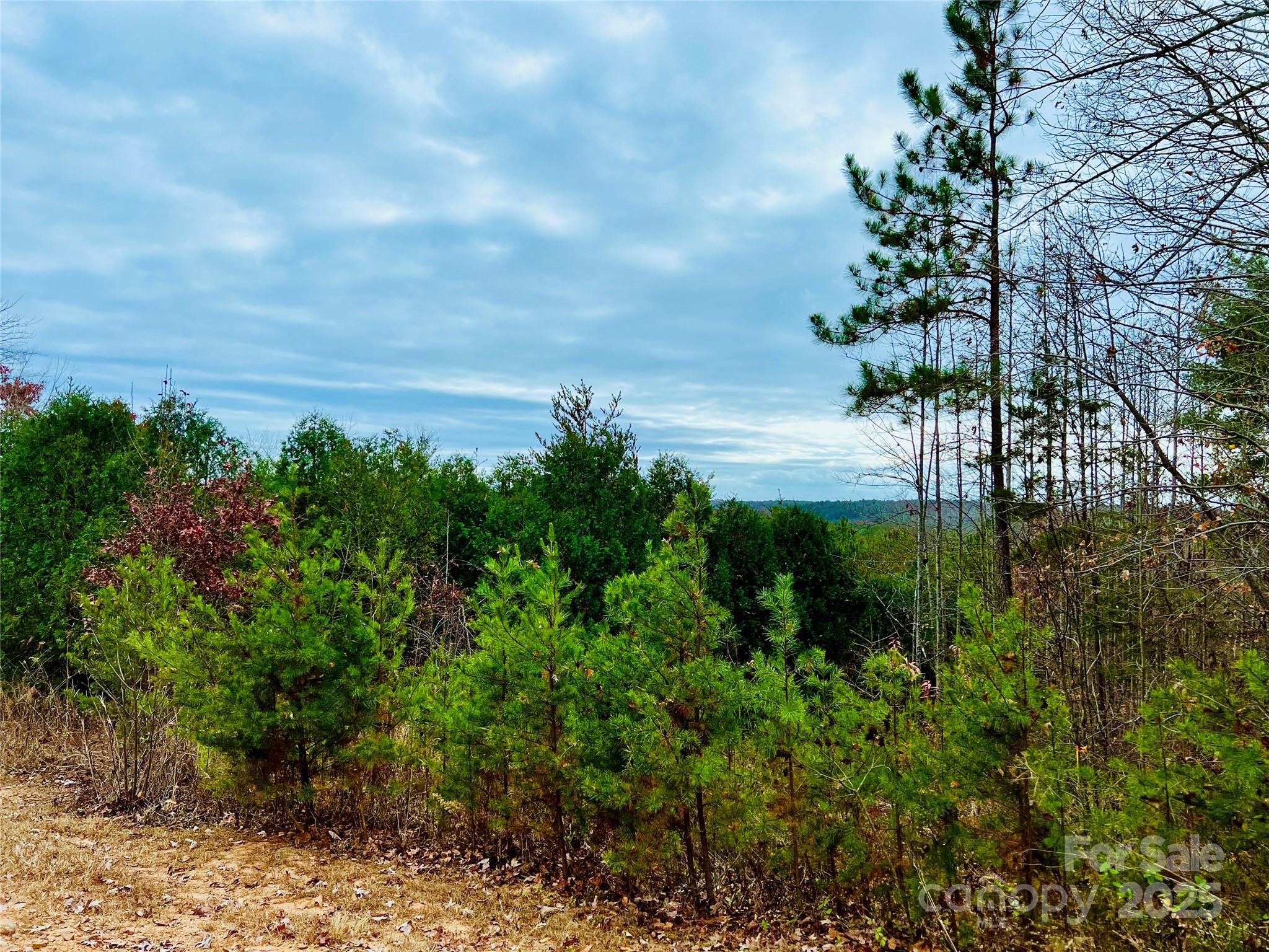 2.53 Acres, Lot 602 Low Valley Way Lenoir NC 28645