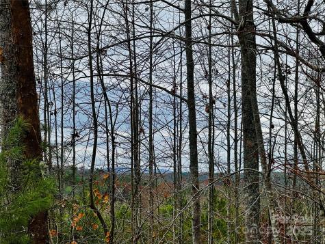 2.53 Acres, Lot 602 Low Valley Way Lenoir NC 28645
