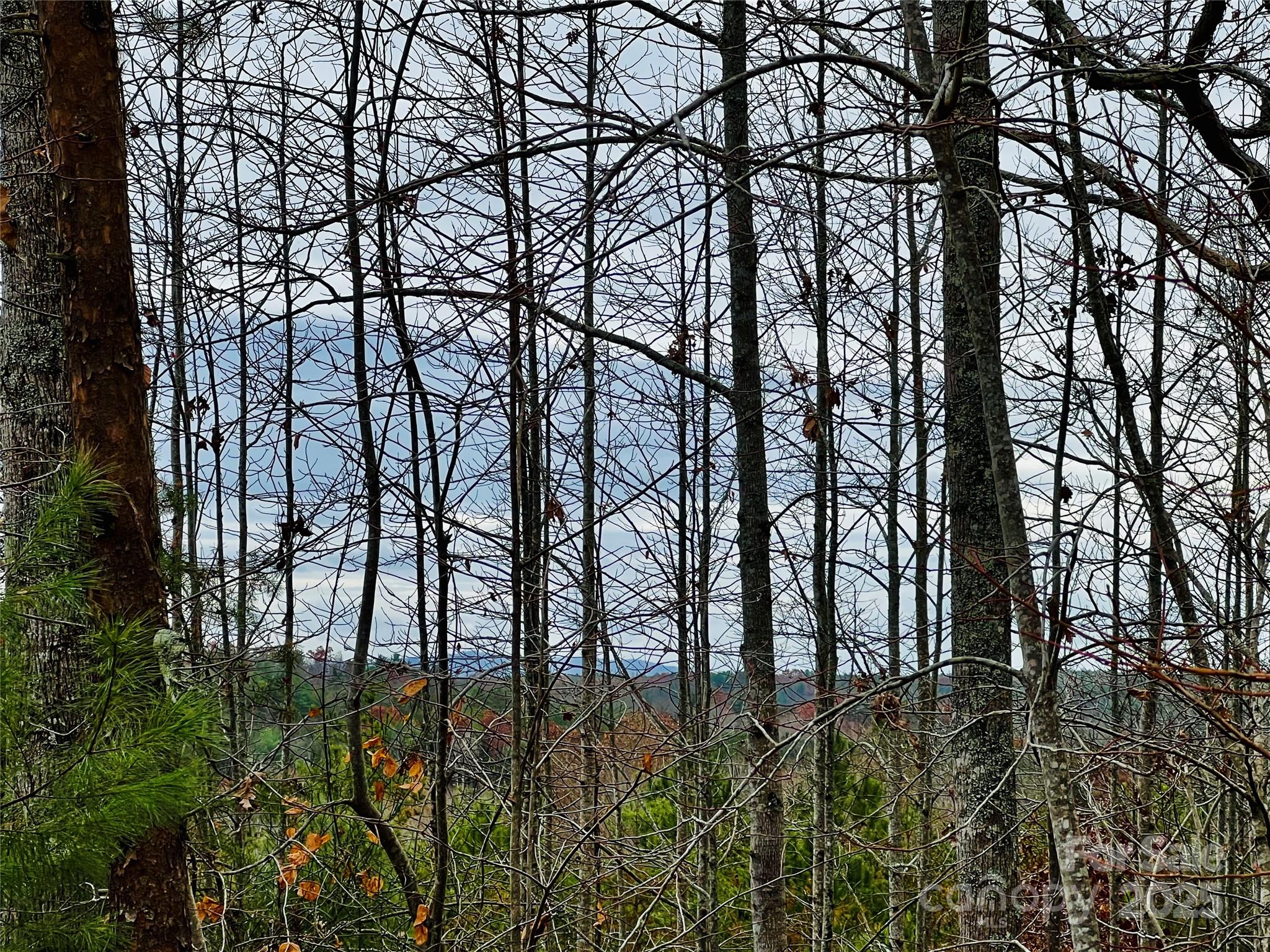 2.53 Acres, Lot 602 Low Valley Way Lenoir NC 28645