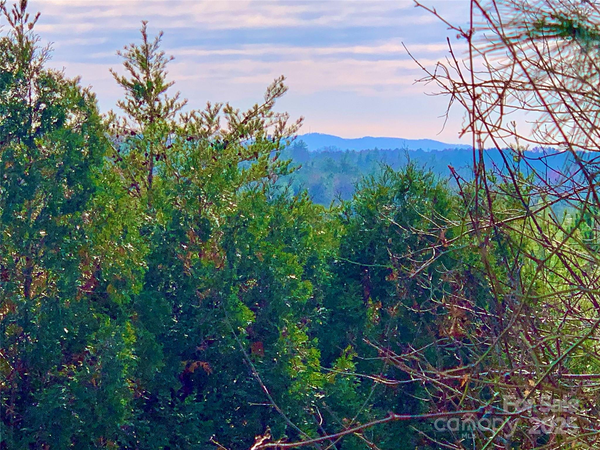 2.53 Acres, Lot 602 Low Valley Way Lenoir NC 28645