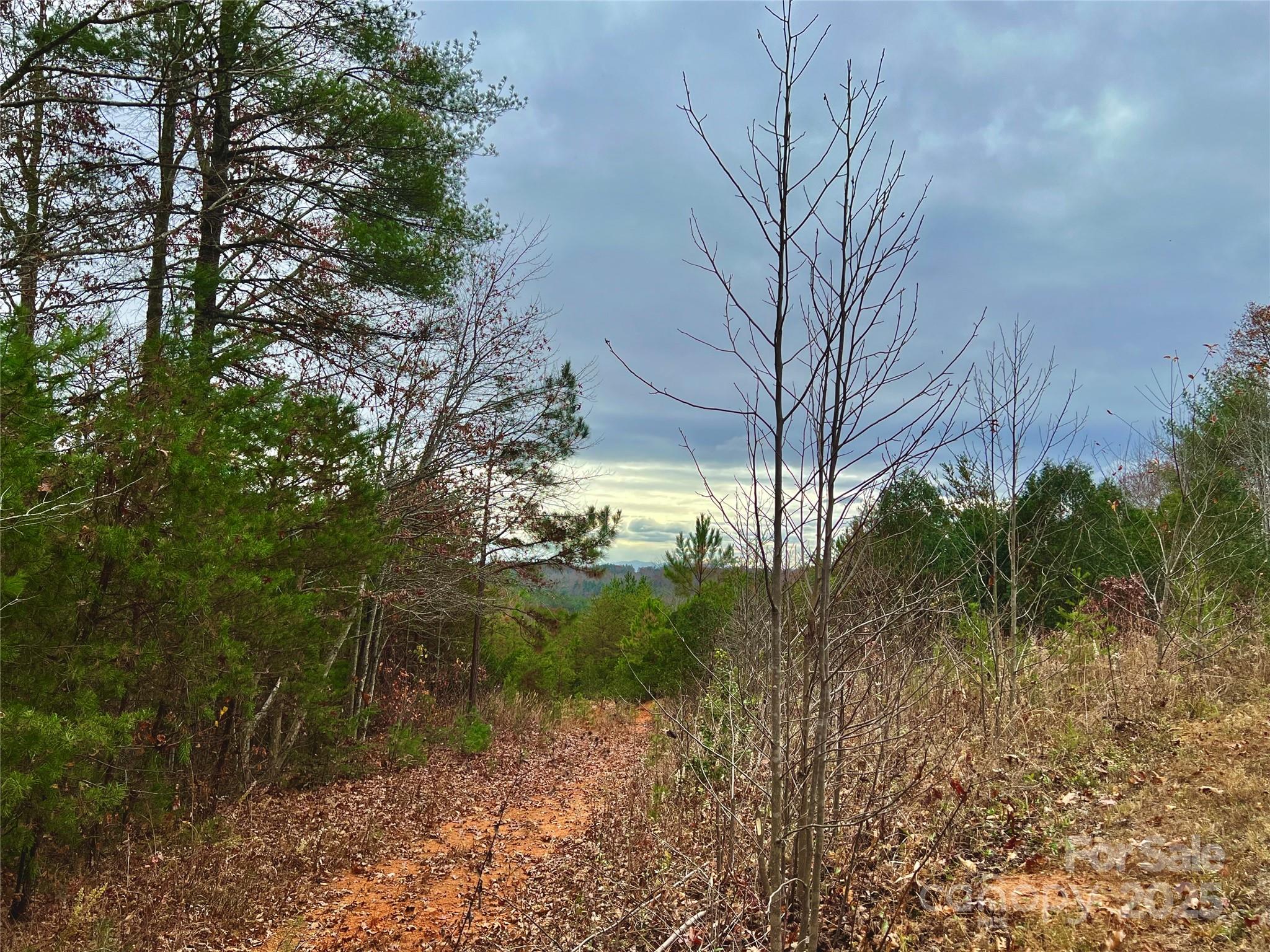 2.53 Acres, Lot 602 Low Valley Way Lenoir NC 28645