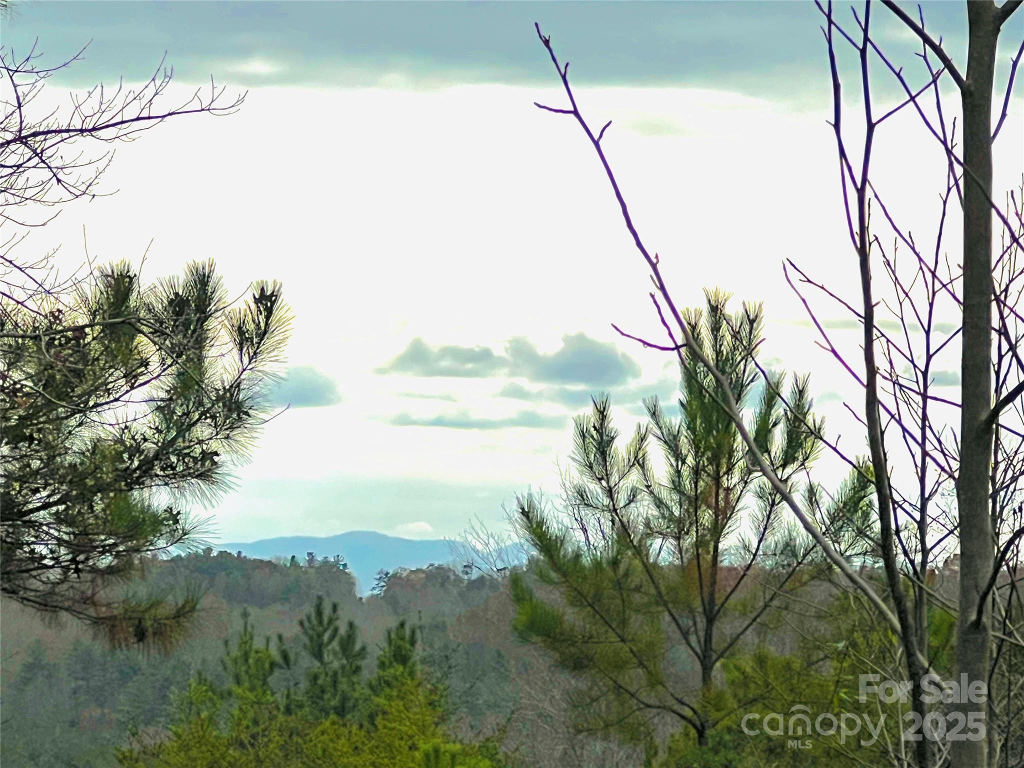2.53 Acres, Lot 602 Low Valley Way Lenoir NC 28645