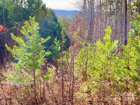 2.53 Acres, Lot 602 Low Valley Way Lenoir NC 28645