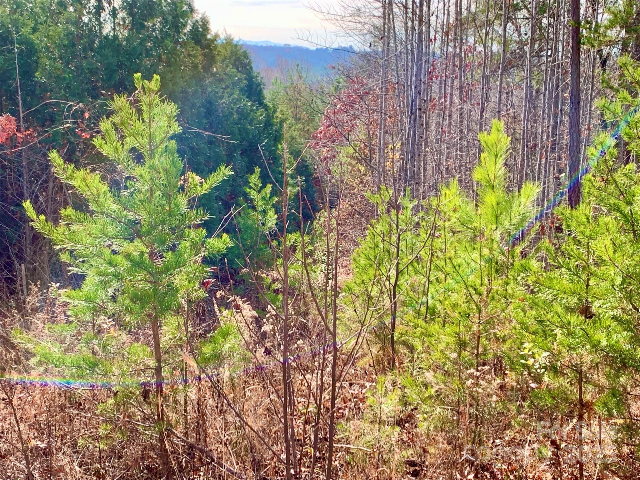 2.53 Acres, Lot 602 Low Valley Way Lenoir NC 28645