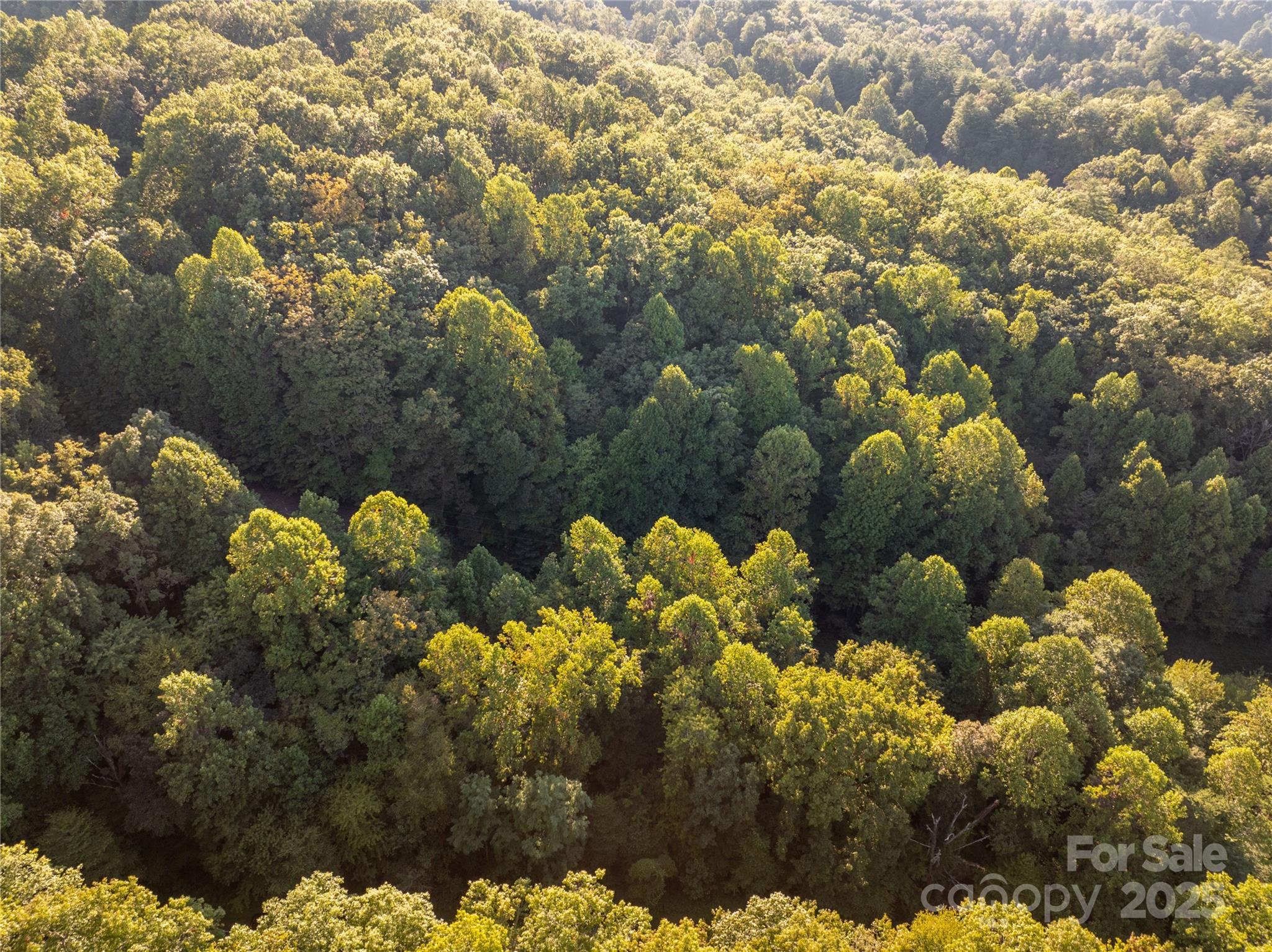 Lot 7 Madison Lane Robbinsville NC 28771