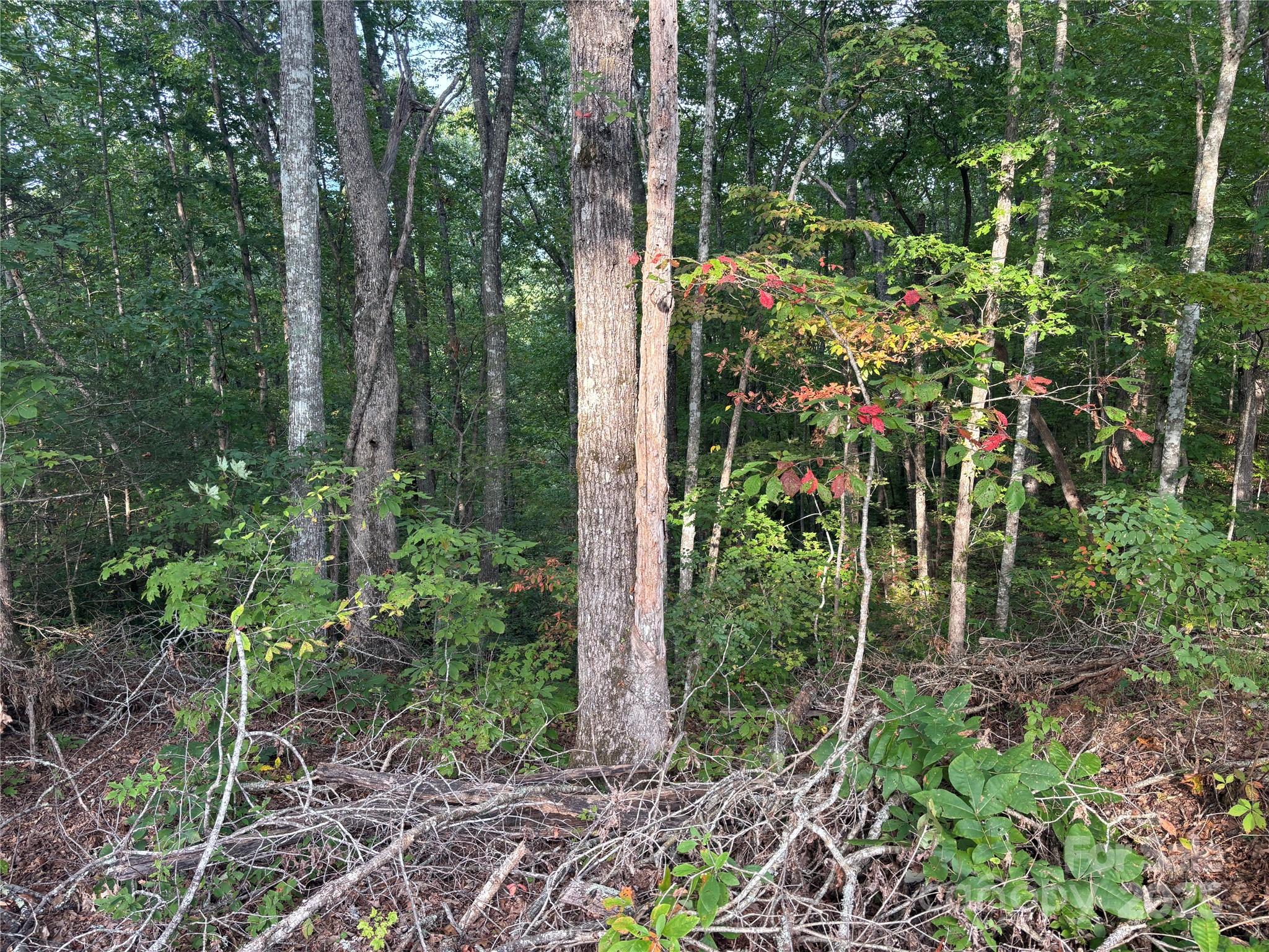 Lot 7 Madison Lane Robbinsville NC 28771
