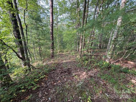 Lot 7 Madison Lane Robbinsville NC 28771