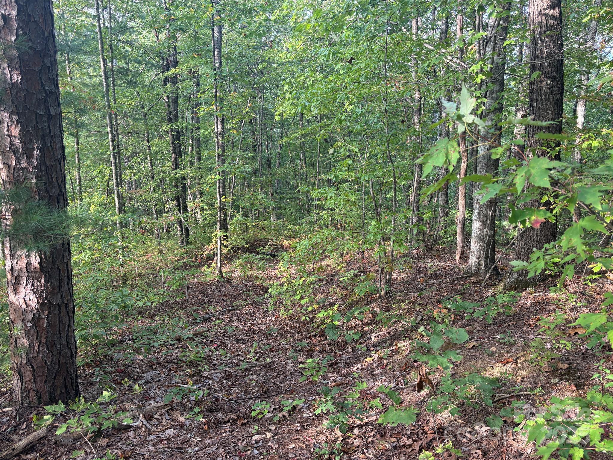 Lot 7 Madison Lane Robbinsville NC 28771