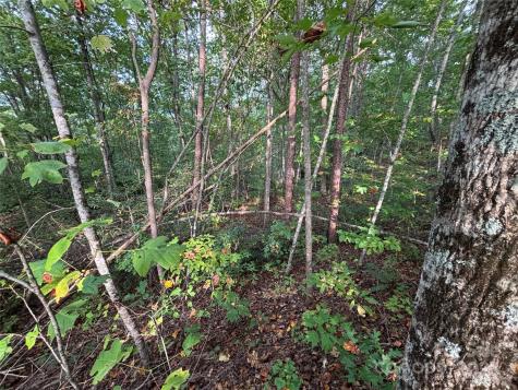 Lot 7 Madison Lane Robbinsville NC 28771