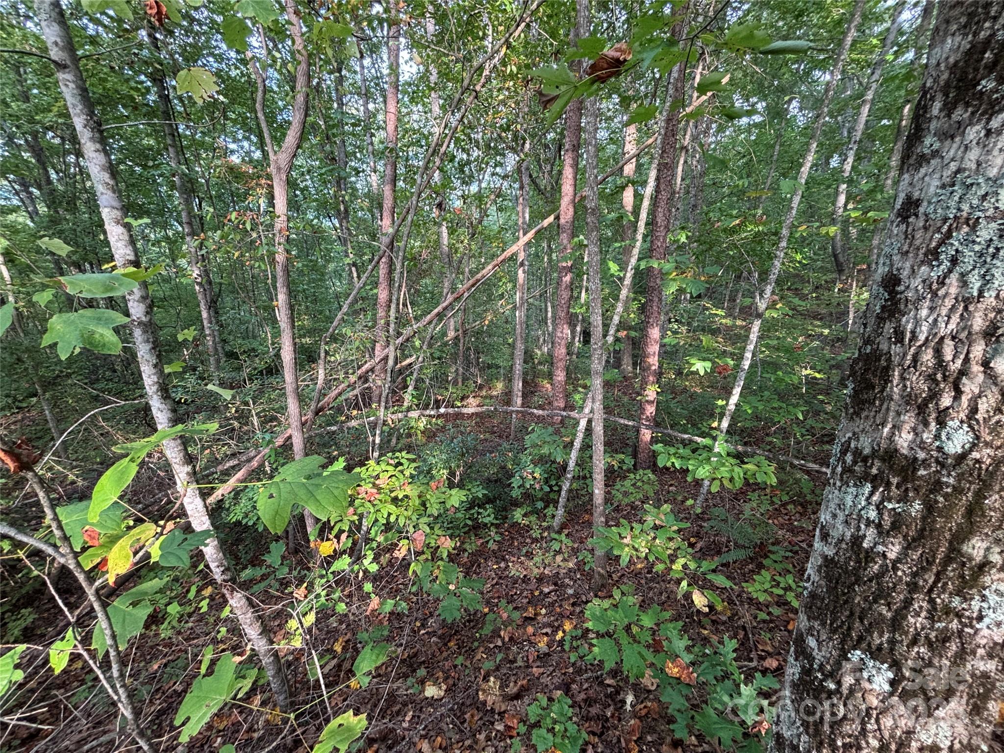 Lot 7 Madison Lane Robbinsville NC 28771