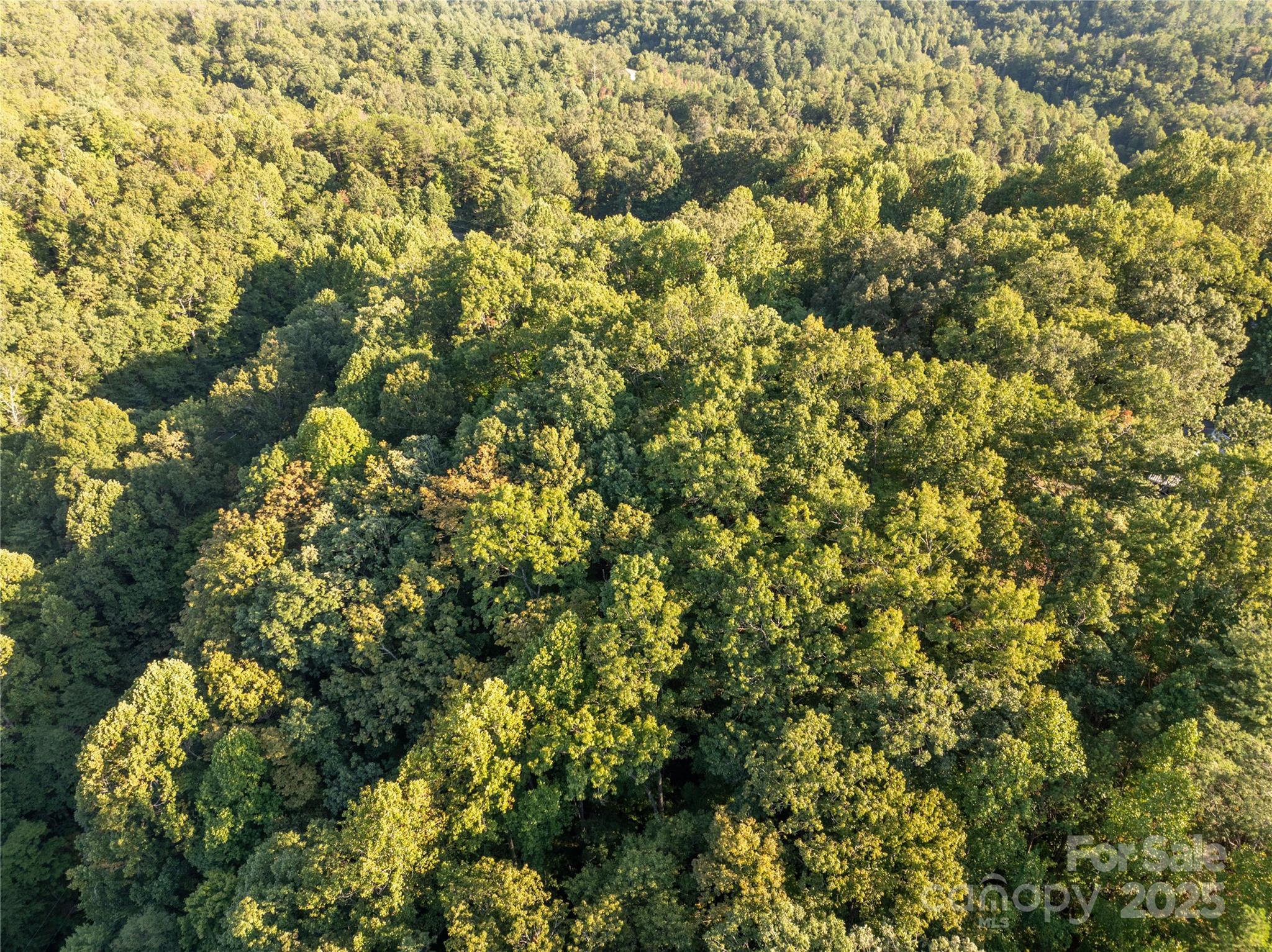 Lot 7 Madison Lane Robbinsville NC 28771