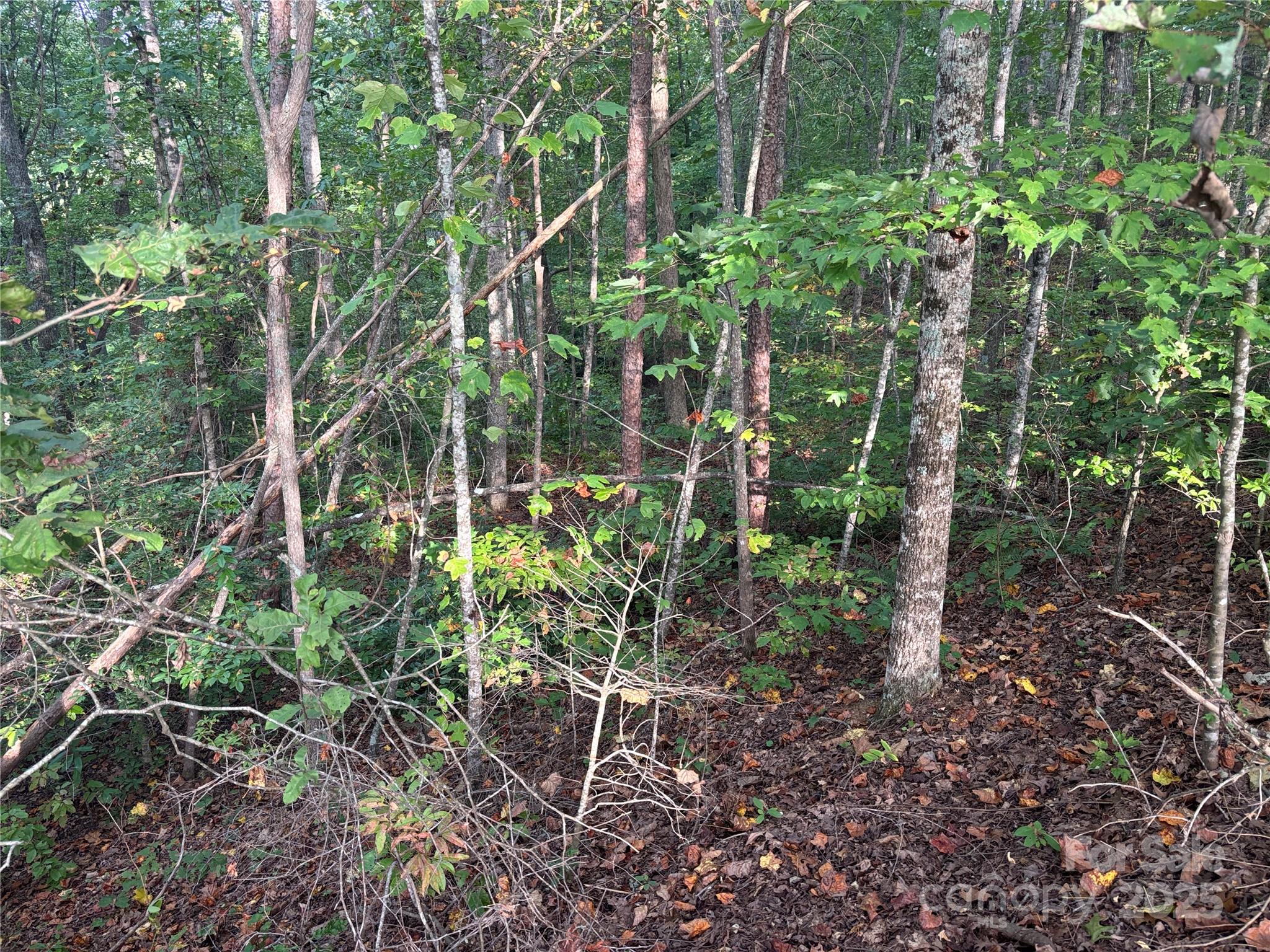 Lot 7 Madison Lane Robbinsville NC 28771