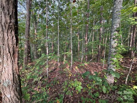 Lot 7 Madison Lane Robbinsville NC 28771