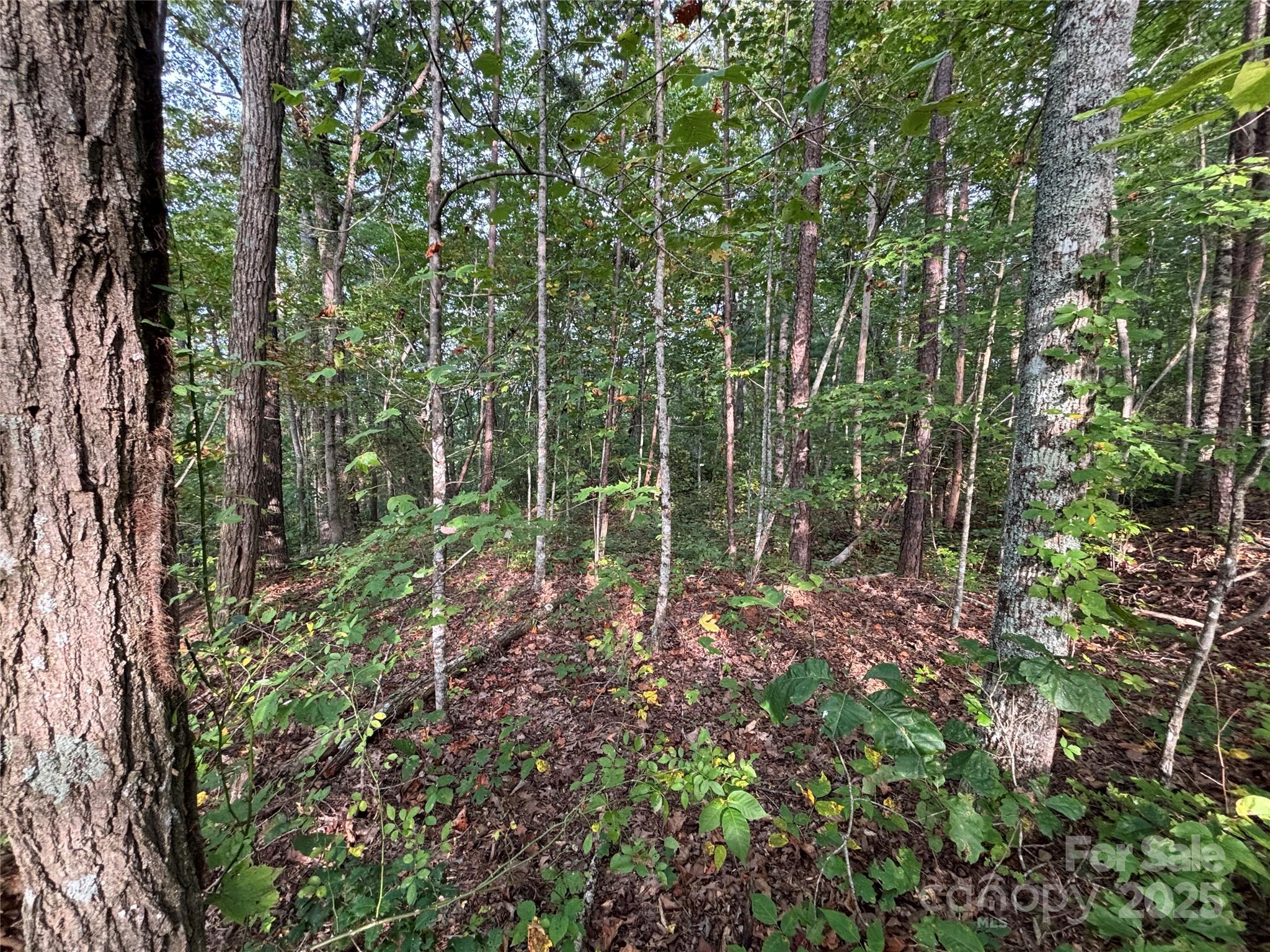 Lot 7 Madison Lane Robbinsville NC 28771