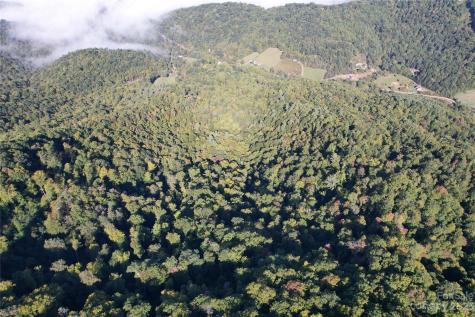 00000 Water Wheel Cove Clyde NC 28721