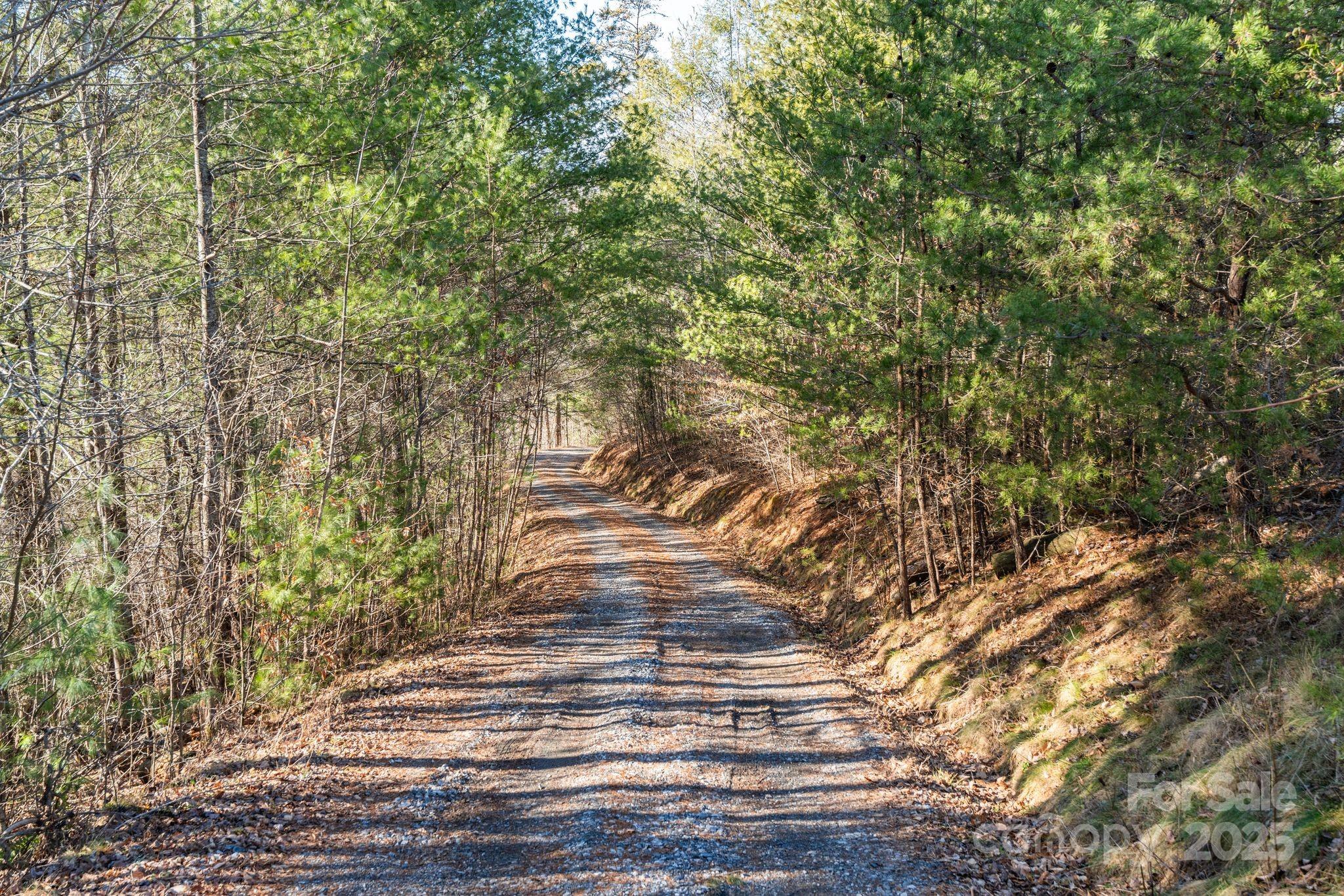 131 Ivy Bluff Road Marshall NC 28753