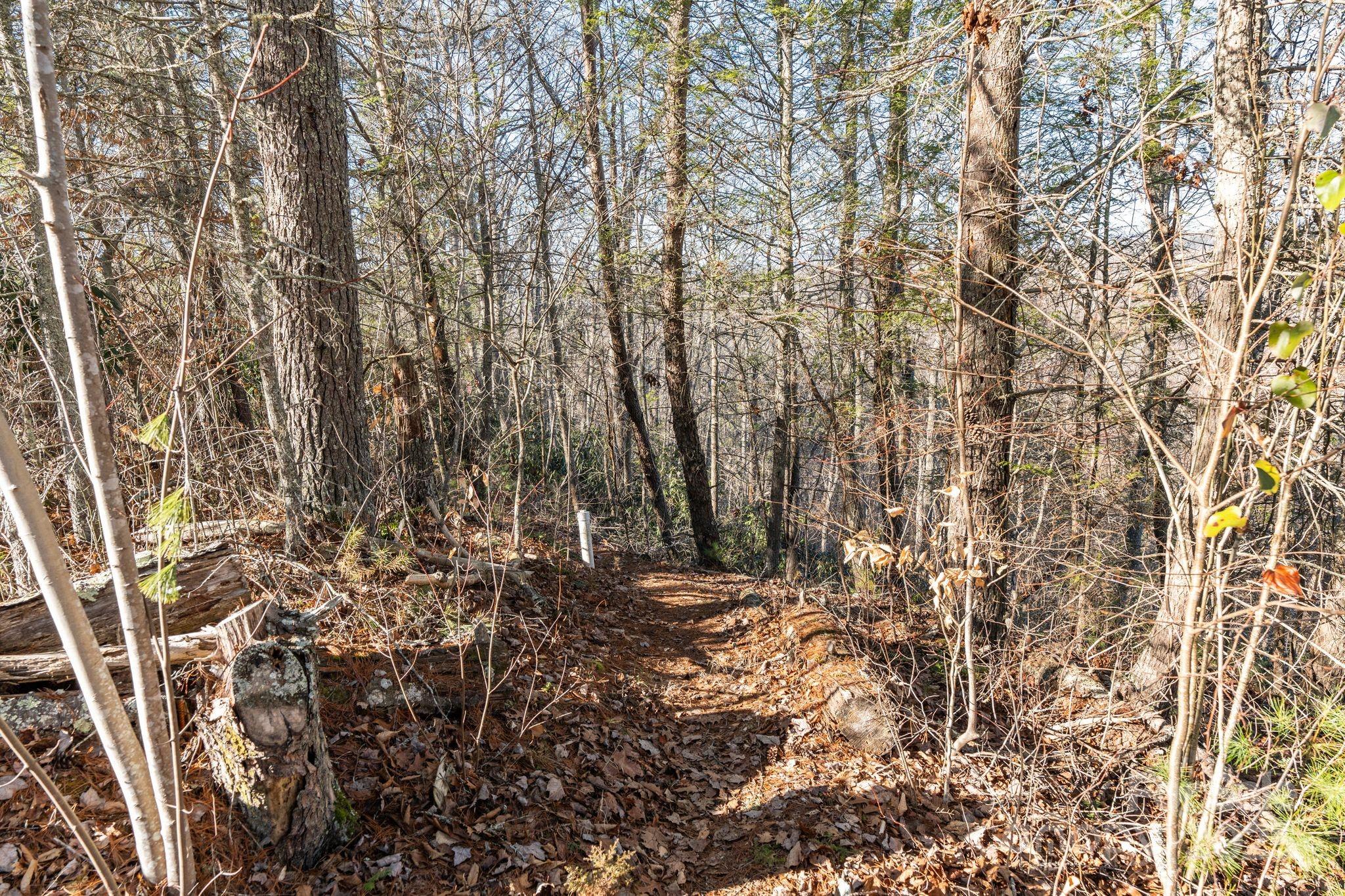 131 Ivy Bluff Road Marshall NC 28753