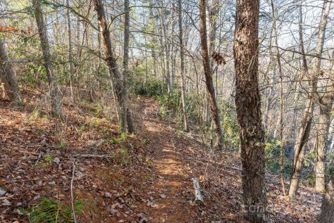 131 Ivy Bluff Road Marshall NC 28753