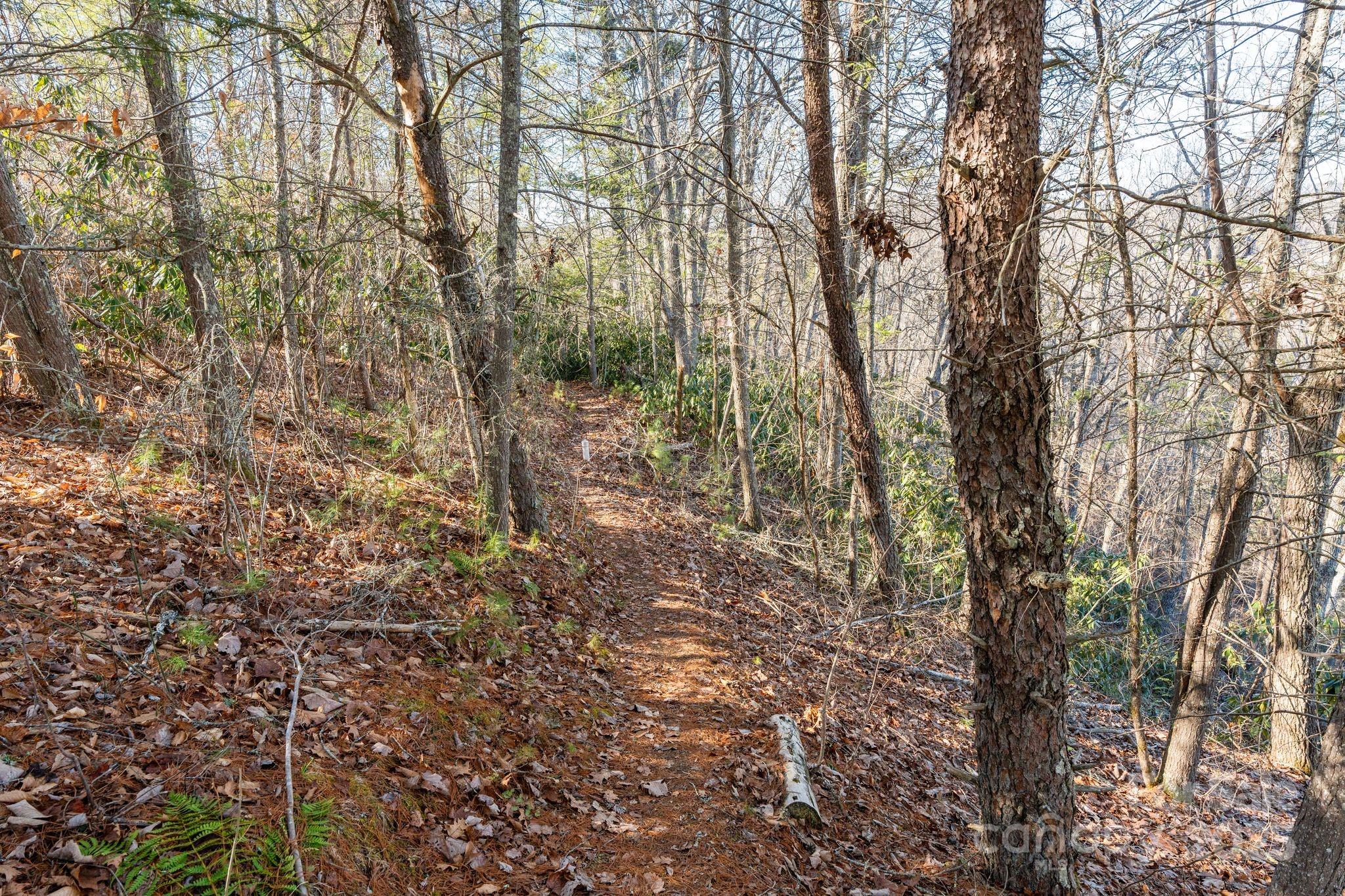 131 Ivy Bluff Road Marshall NC 28753