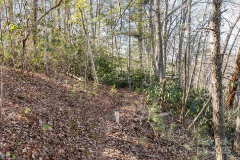 131 Ivy Bluff Road Marshall NC 28753