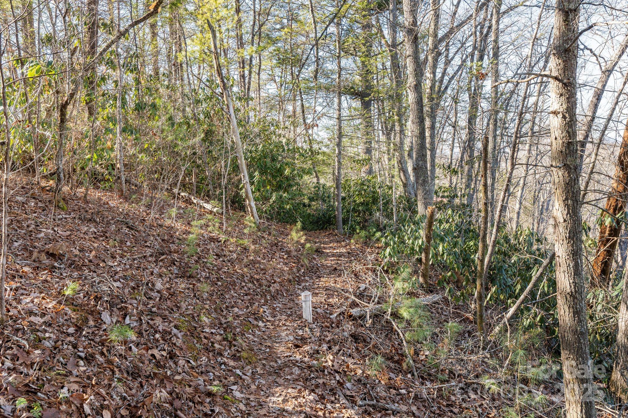 131 Ivy Bluff Road Marshall NC 28753