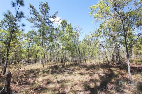Tbd Queens Cove Way Carthage NC 28327