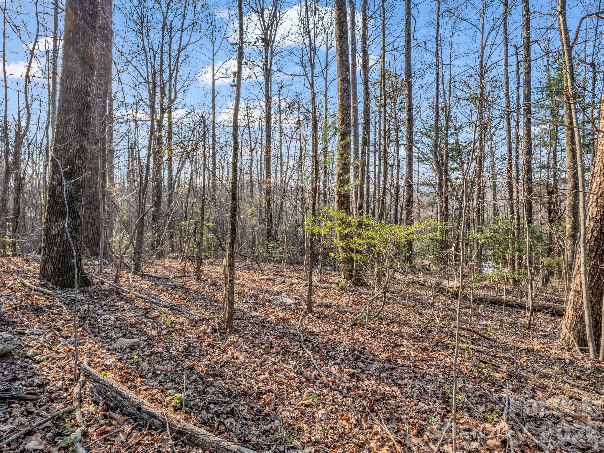 Tbd Mountain Lakes Drive Tryon NC 28782