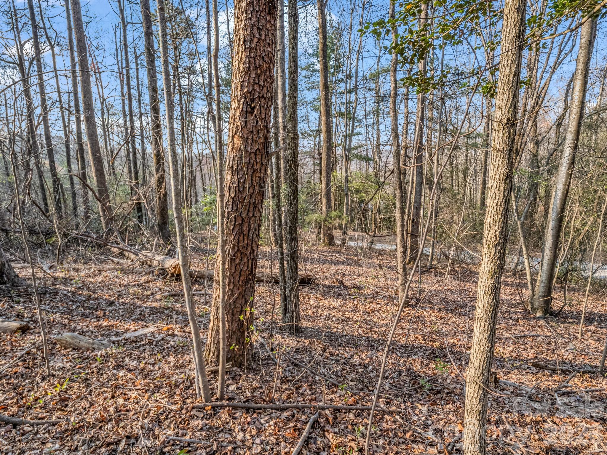 Tbd Mountain Lakes Drive Tryon NC 28782