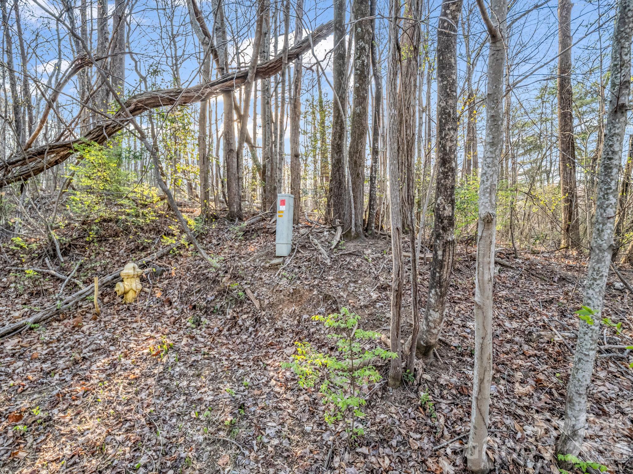 Tbd Mountain Lakes Drive Tryon NC 28782