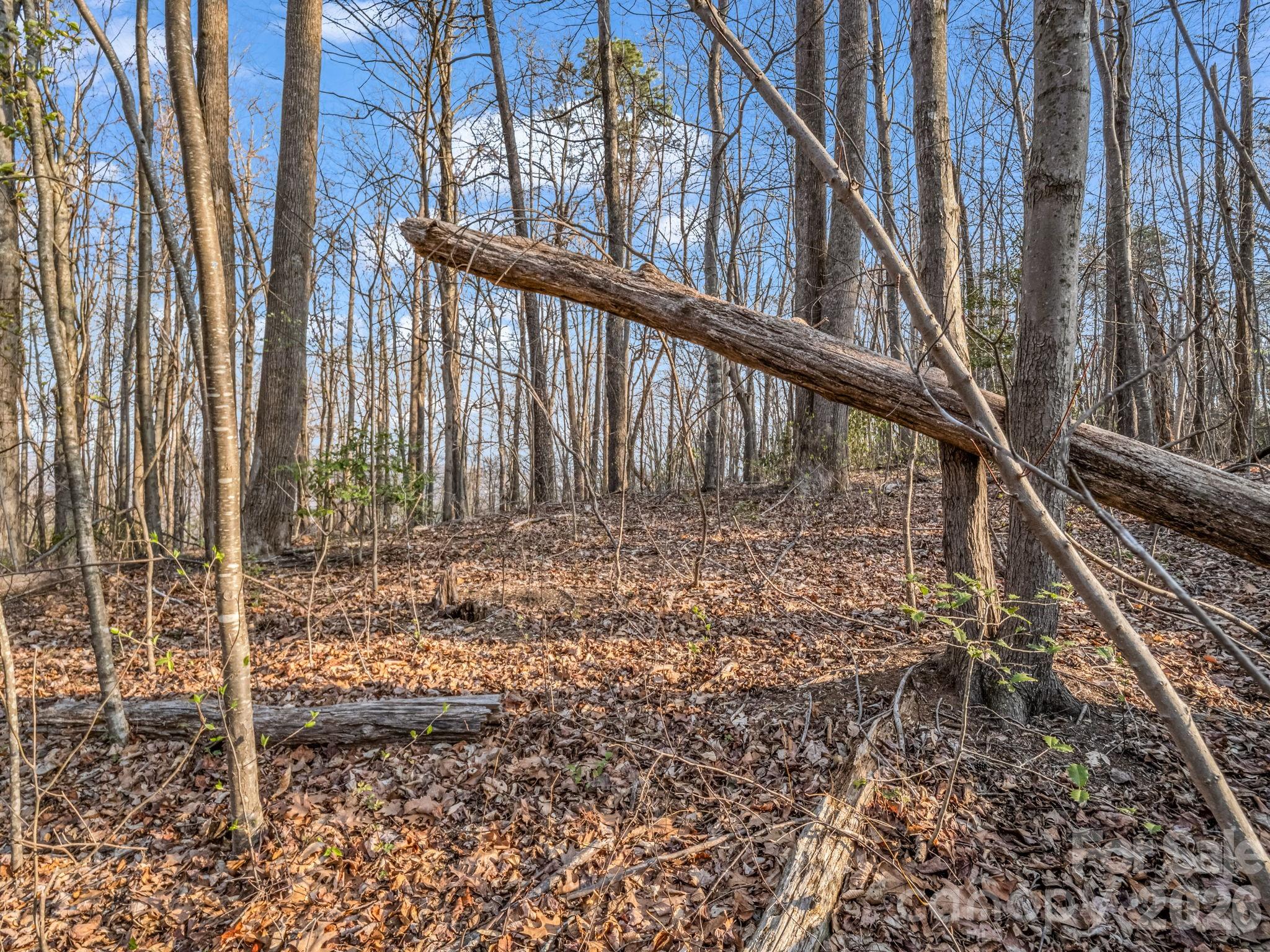 Tbd Mountain Lakes Drive Tryon NC 28782