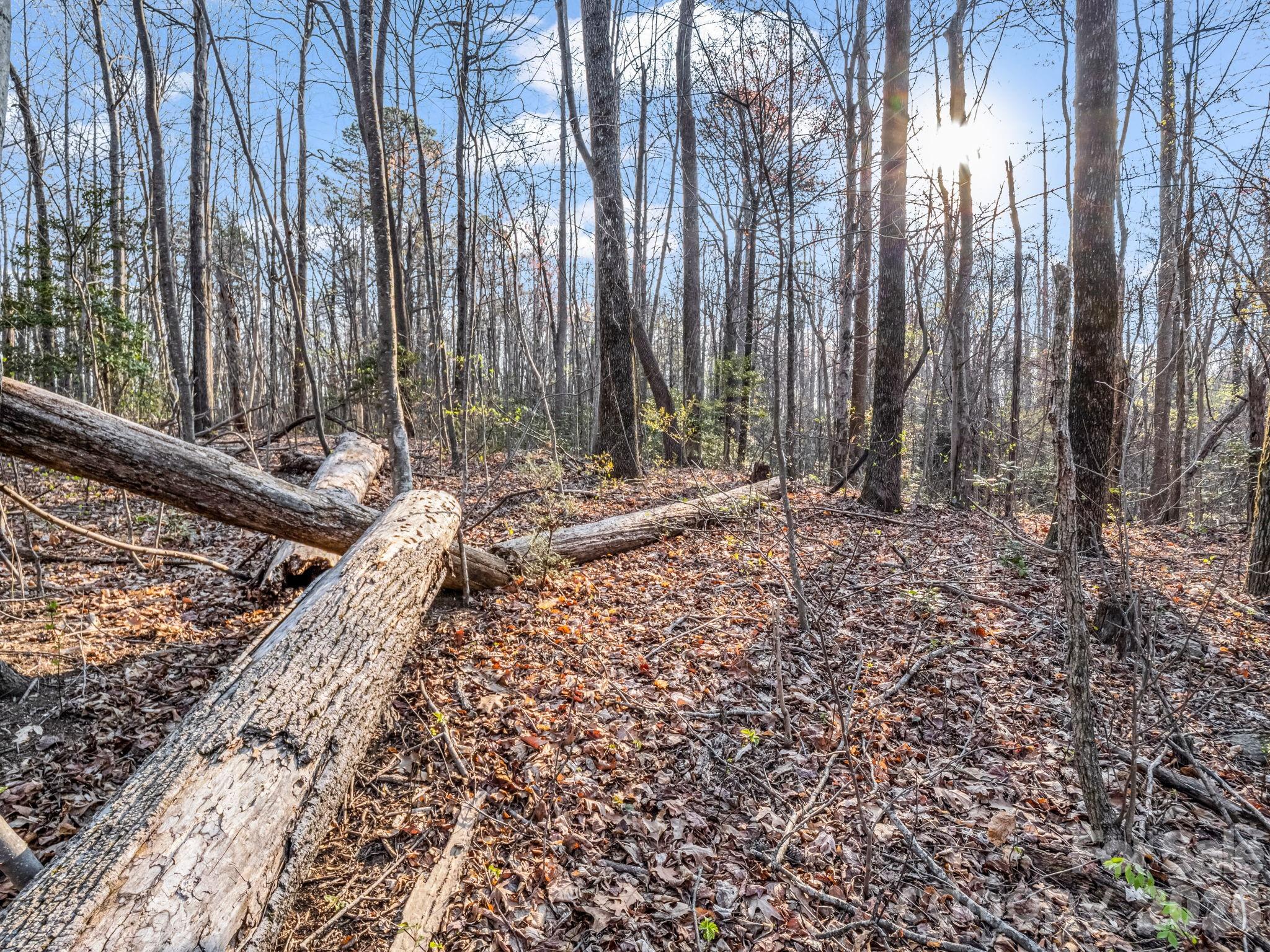 Tbd Mountain Lakes Drive Tryon NC 28782