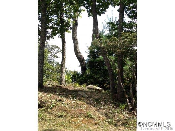 106 Windcliff Drive Asheville NC 28803