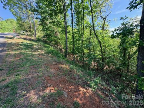 0 Bills Mountain Trail Lake Lure NC 28746