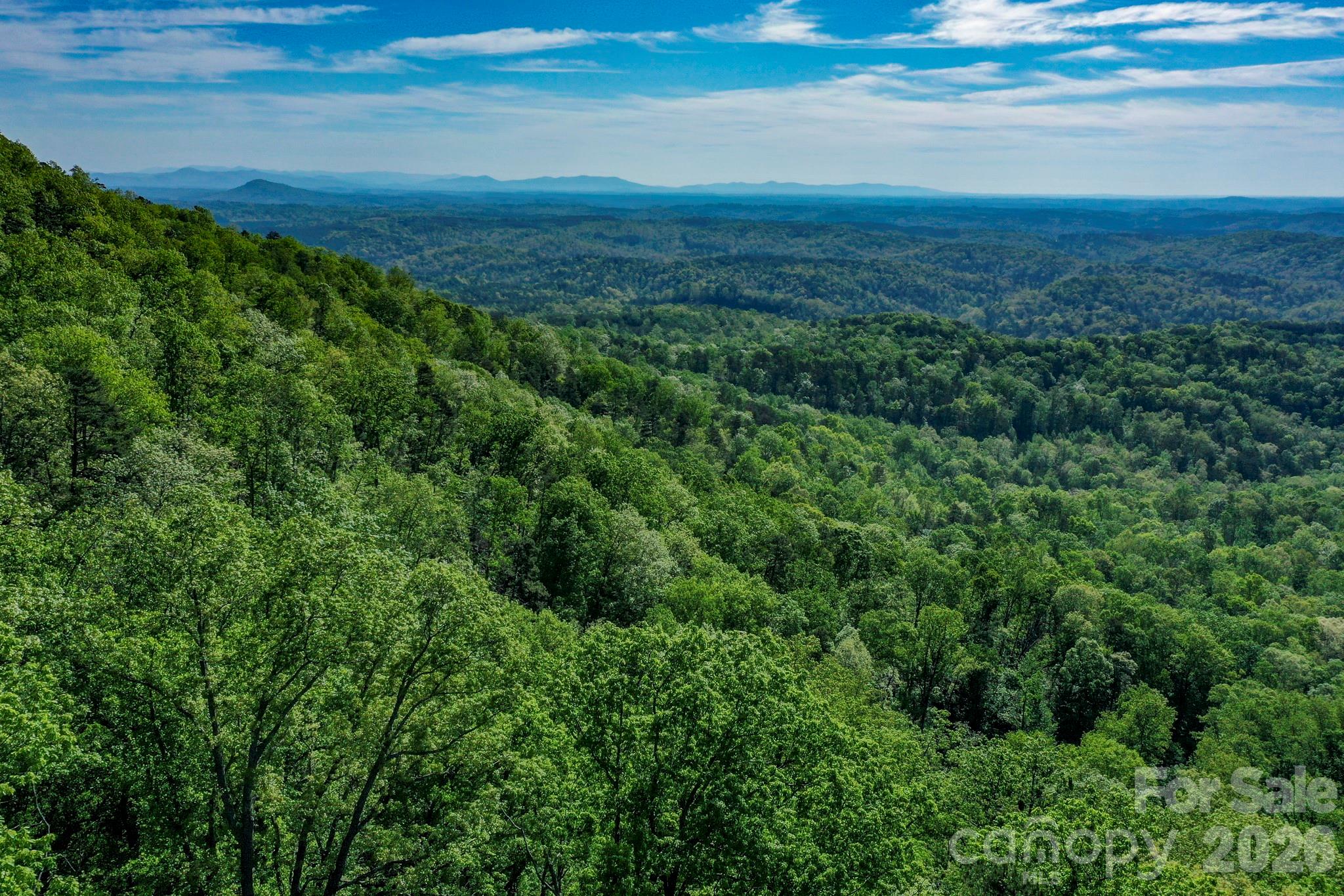 0 Bills Mountain Trail Lake Lure NC 28746