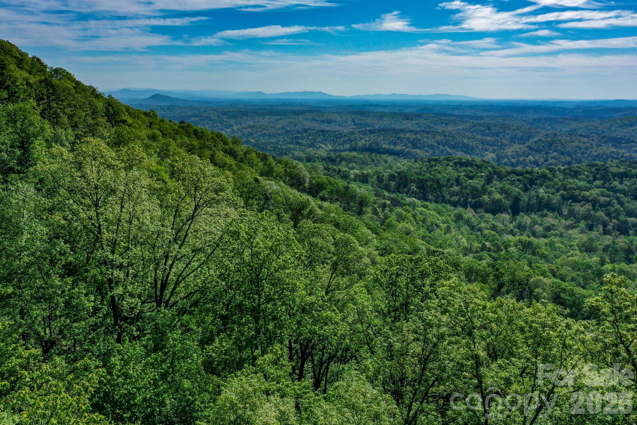 0 Bills Mountain Trail Lake Lure NC 28746