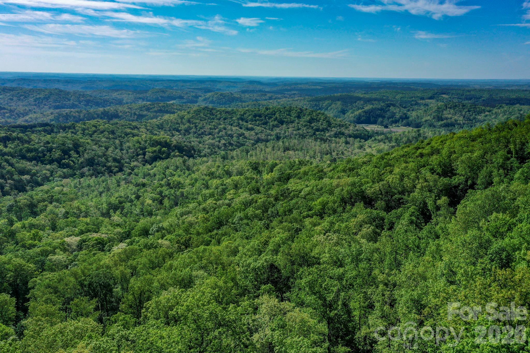 0 Bills Mountain Trail Lake Lure NC 28746