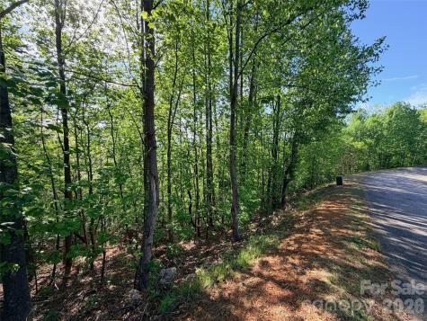 0 Bills Mountain Trail Lake Lure NC 28746