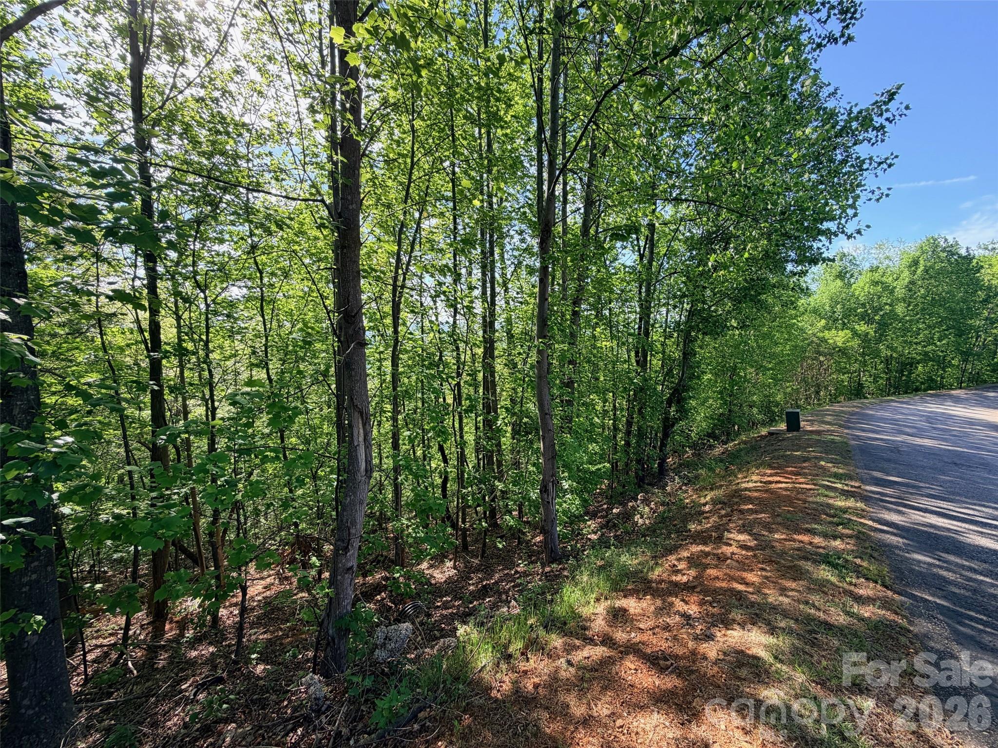 0 Bills Mountain Trail Lake Lure NC 28746