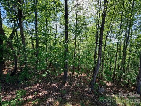 0 Bills Mountain Trail Lake Lure NC 28746