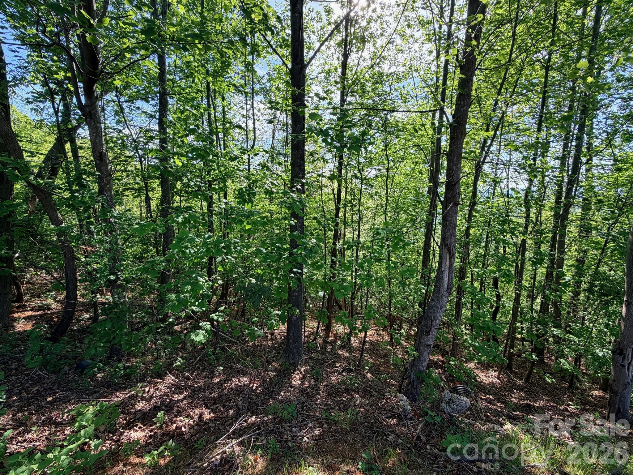0 Bills Mountain Trail Lake Lure NC 28746