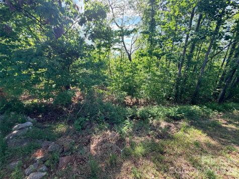 0 Bills Mountain Trail Lake Lure NC 28746