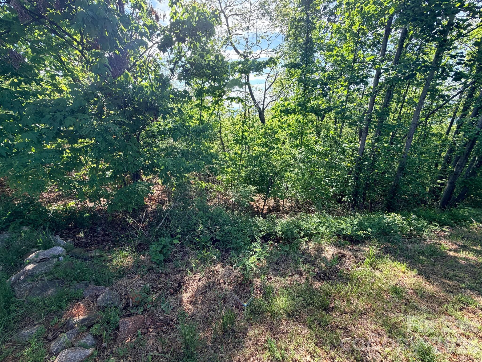 0 Bills Mountain Trail Lake Lure NC 28746