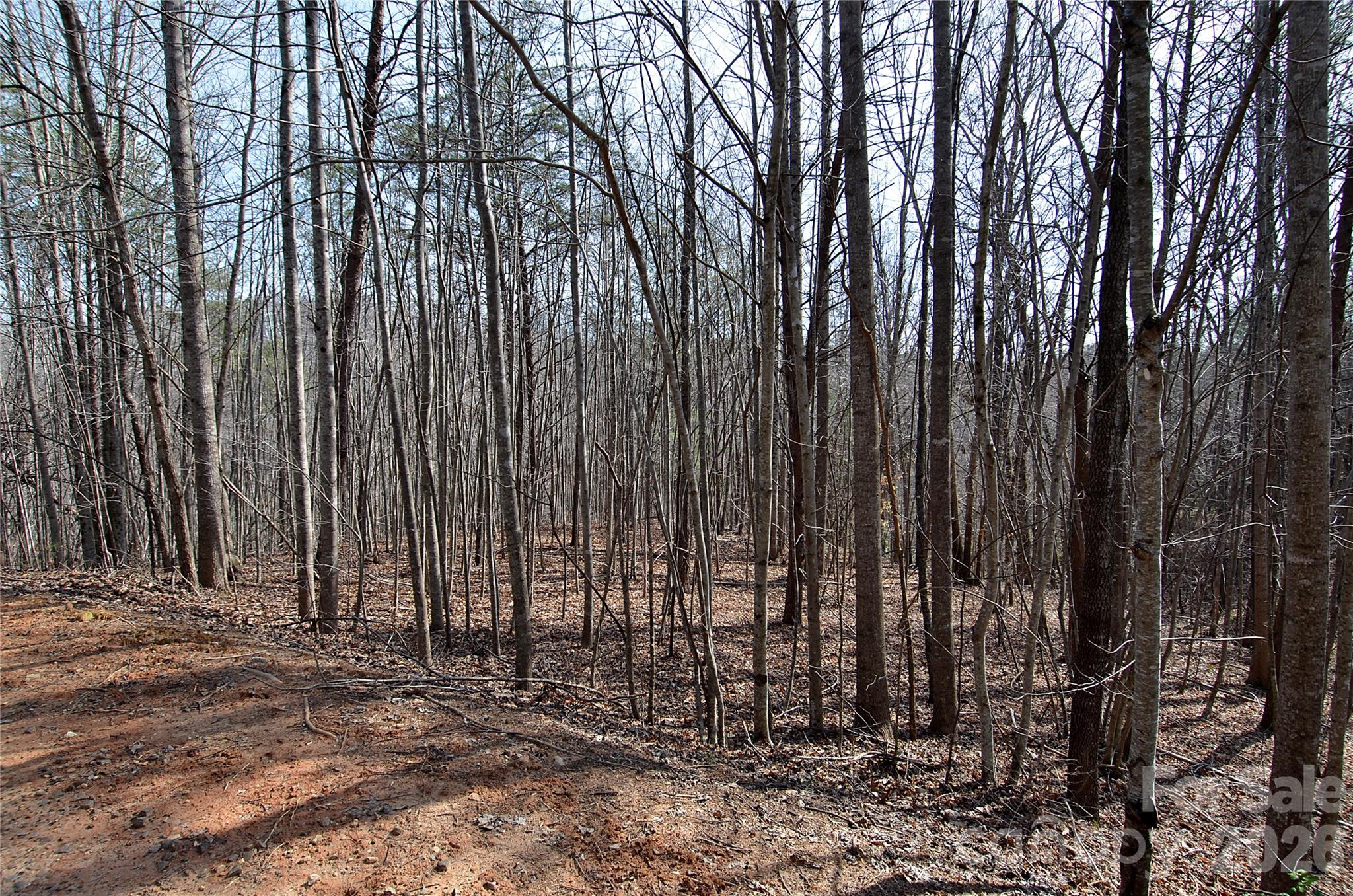 00 Sundance Drive Nebo NC 28761